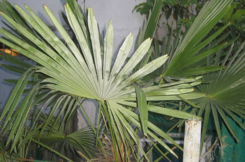 Гостевой дом «Тихий уголок»