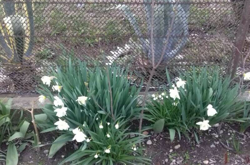 Гостевой дом «У Риты»