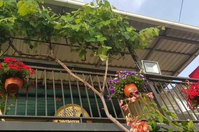 Гостевой дом «Кристина»