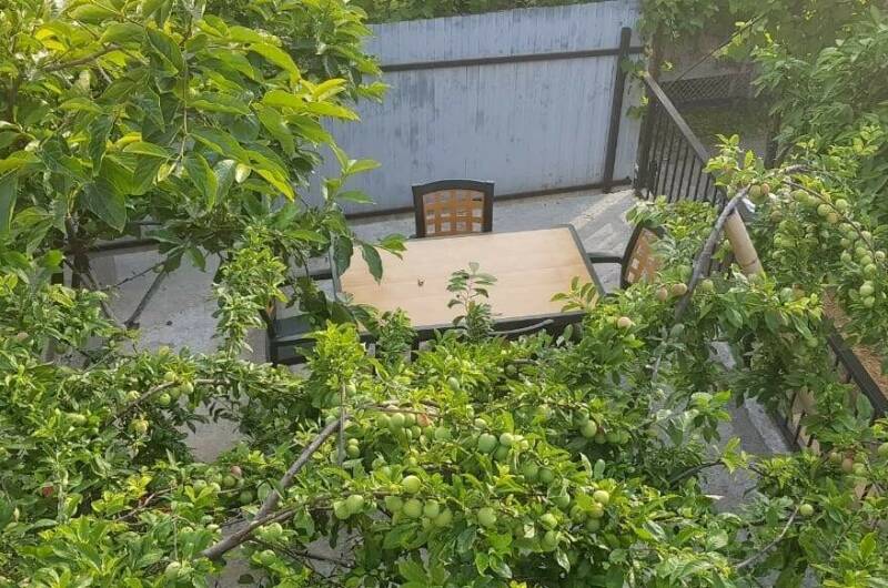 Гостевой дом «Кристина»