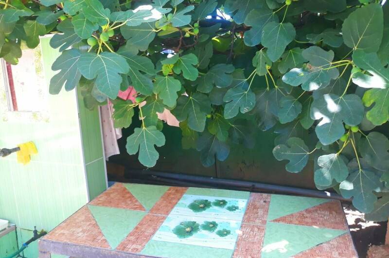 Душевный домик рядом с морем и озером