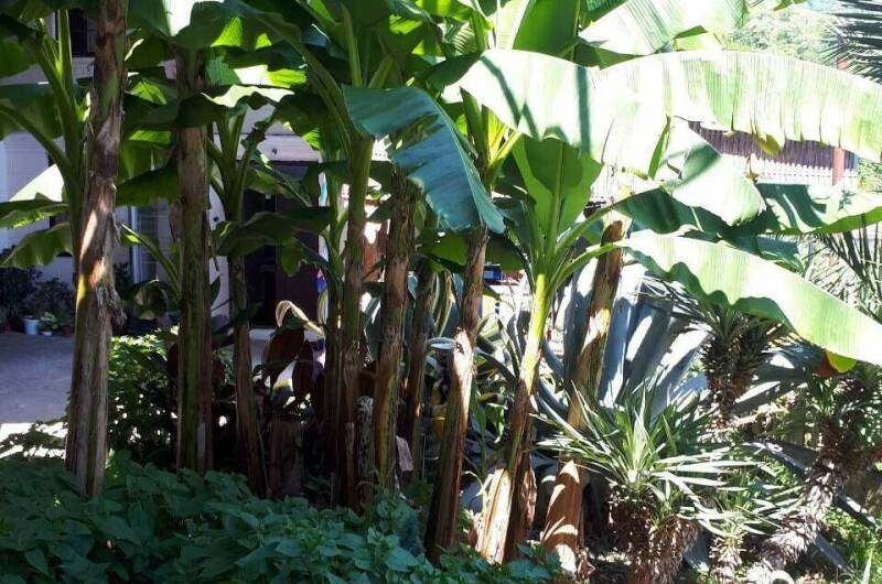 Гостевой дом «У моря»