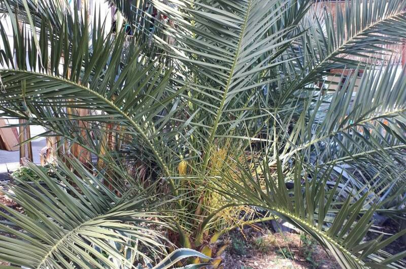 Гостевой дом «У моря»