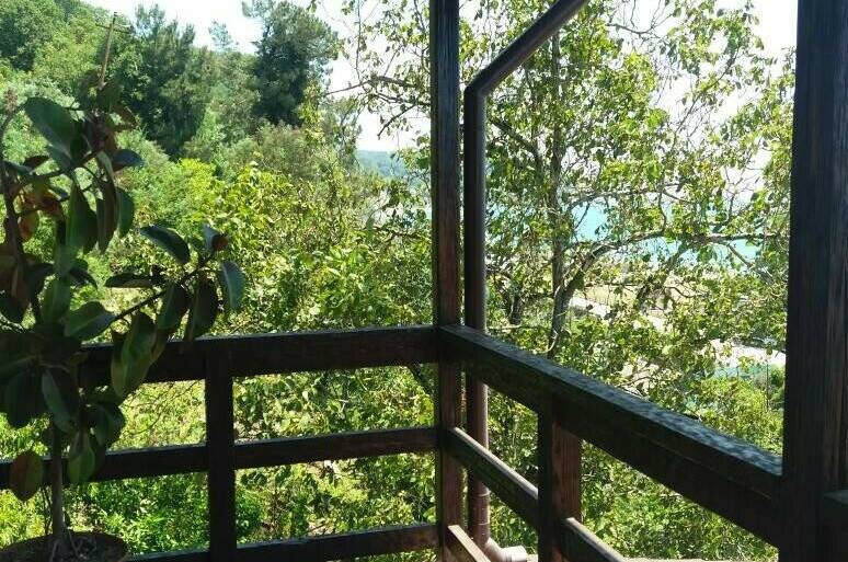 Гостевой дом «Киви»