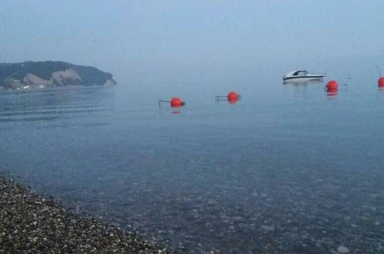 Гостевой дом «Киви»