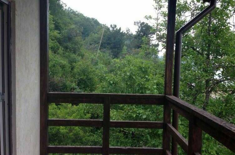 Гостевой дом «Киви»