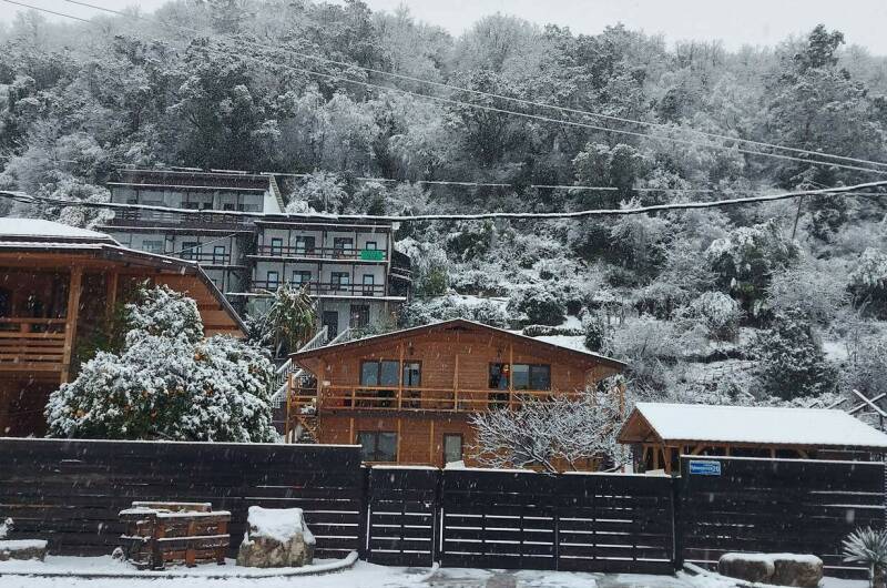 Гостевой дом «Киви»