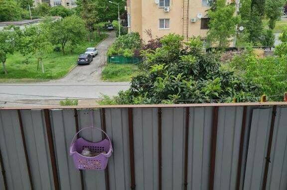 Однокомнатная квартира у моря