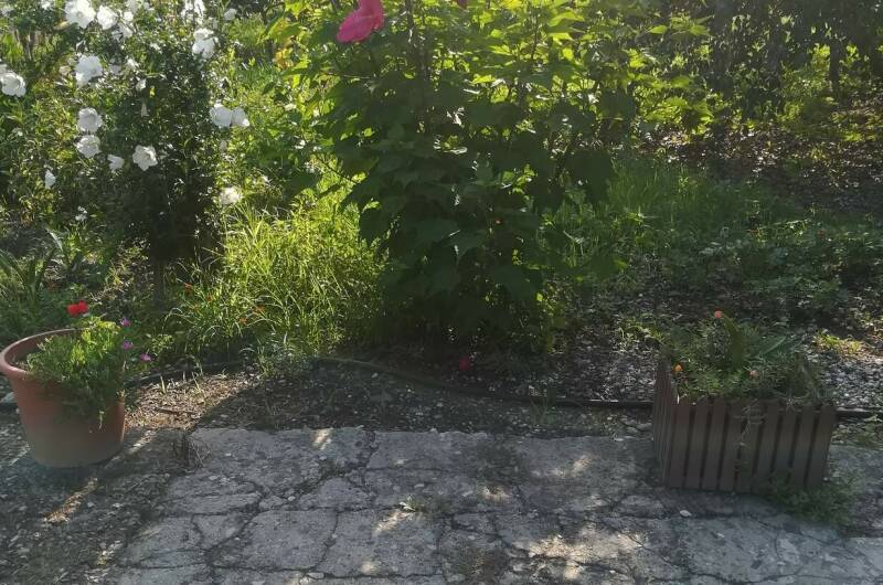 Частный сектор «У Сусанны»