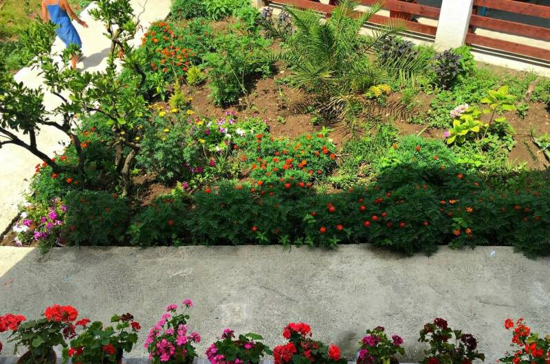 Гостевой дом «Южный»