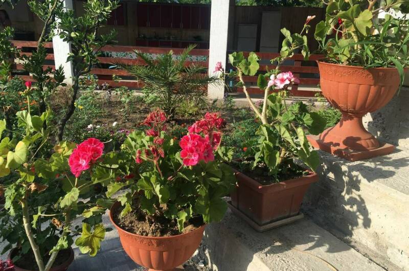 Гостевой дом «Южный»