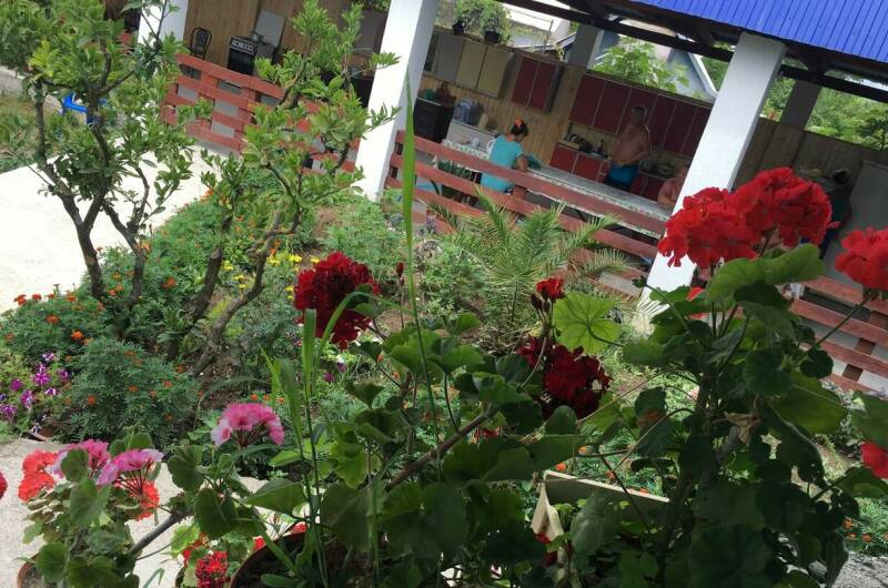 Гостевой дом «Южный»