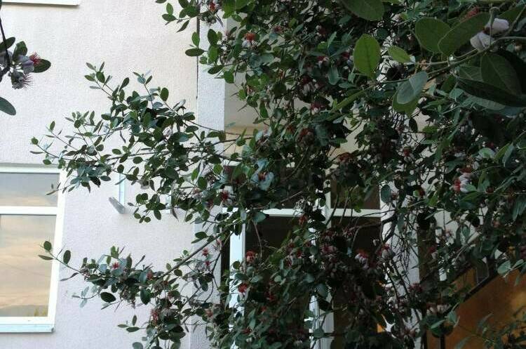 Гостевой дом «Приморский 7»