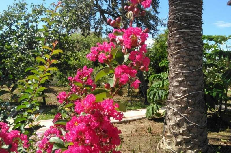 Гостевой дом на пер. Гулия 1А