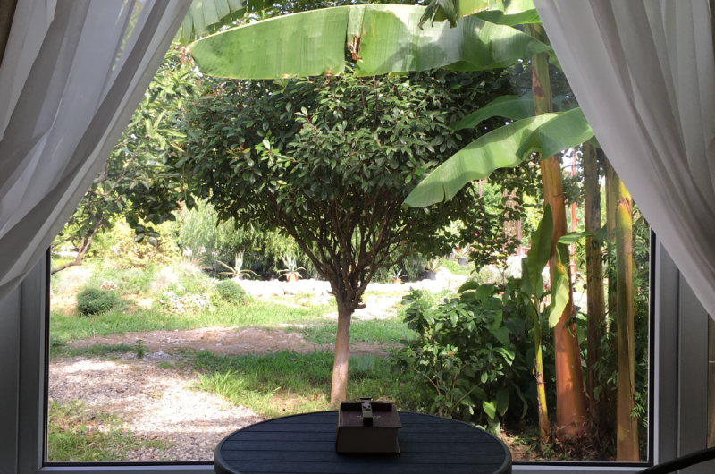 Гостиница «Святая Абхазия»