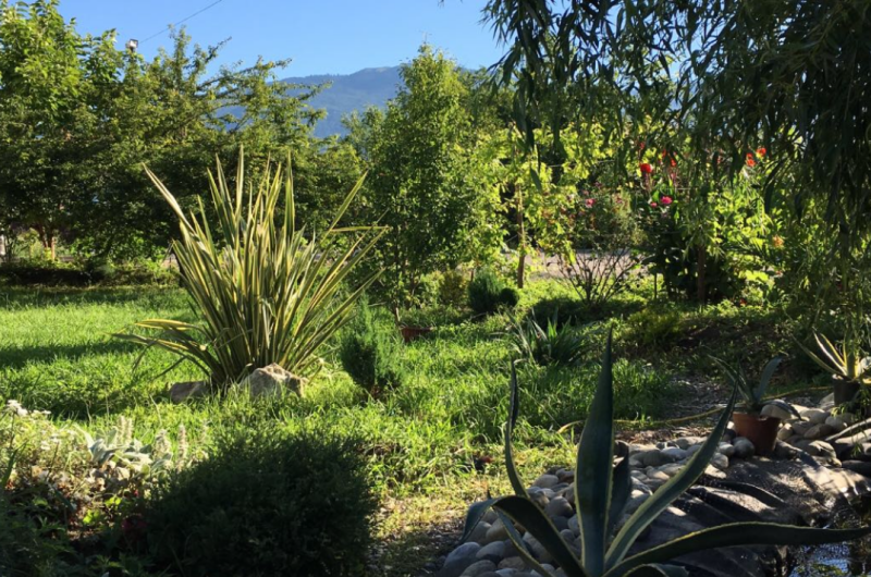 Гостиница «Святая Абхазия»