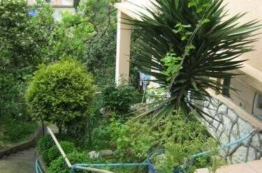 Гостевой дом в центре Гагры