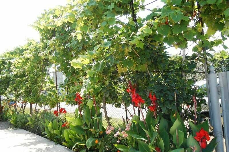 Частный сектор «У Ануш»