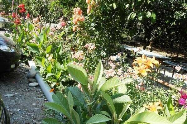 Частный сектор «У Ануш»