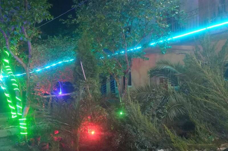 Гостевой дом «Две пальмы»