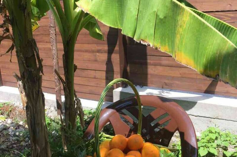 Гостевой дом «SoFitel-GagrA»