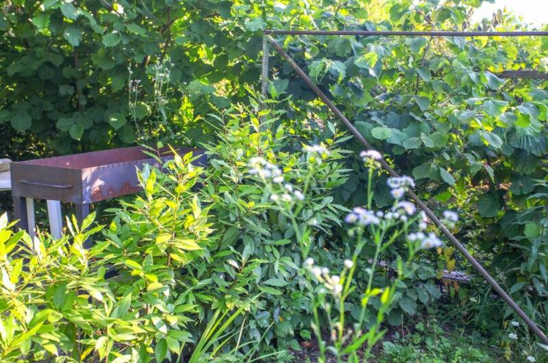 Гостевой дом «Светлана»