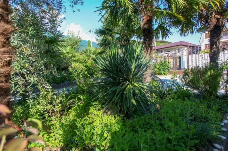 Гостевой дом «Светлана»