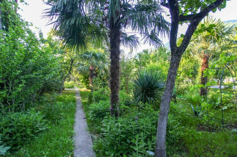 Гостевой дом «Светлана»