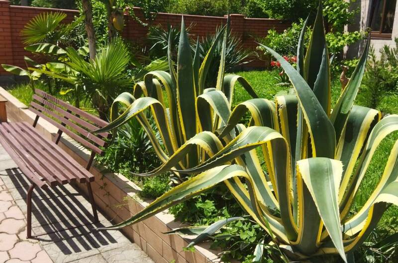 Гостевой дом «Золотая рыбка»