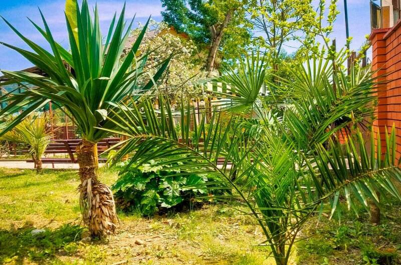 Гостевой дом «Золотая рыбка»