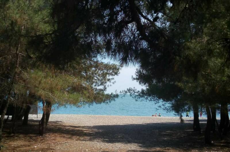 Гостевой дом «Золотая рыбка»