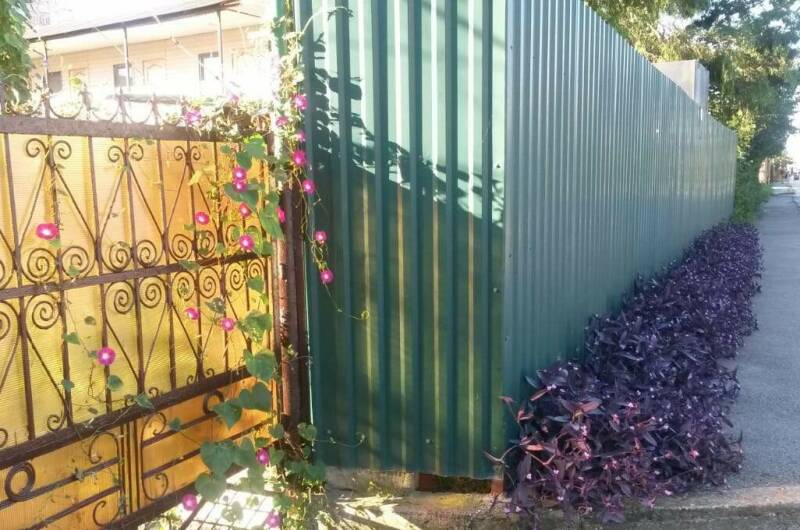 Гостевой дом «Танида»