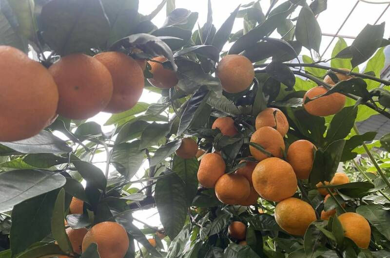 Гостевой дом у моря