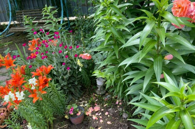 Гостевой дом «У Лизы»