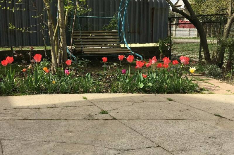 Гостевой дом «У Лизы»