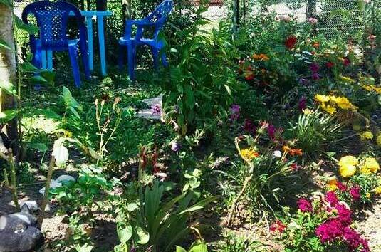 Гостевой дом «У Лизы»