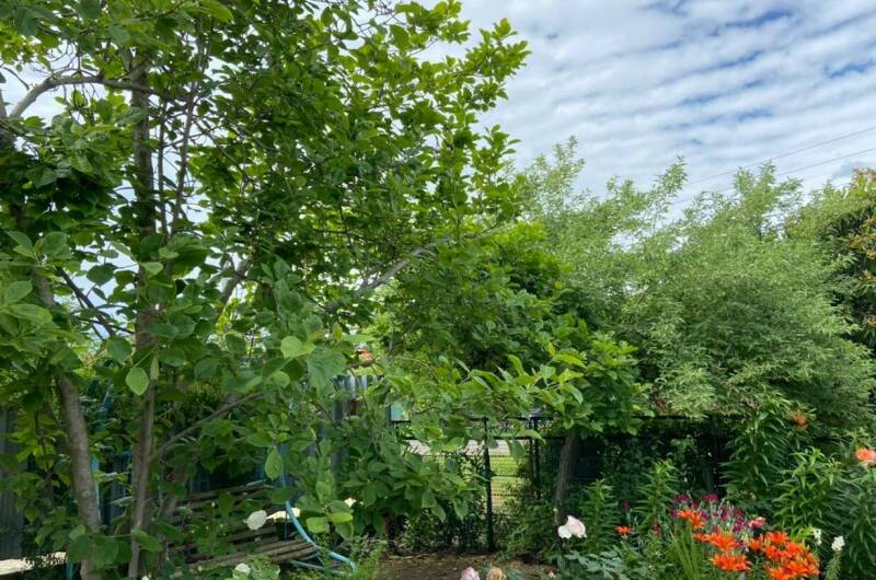 Гостевой дом «У Лизы»