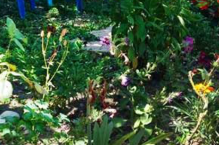 Гостевой дом «У Лизы»