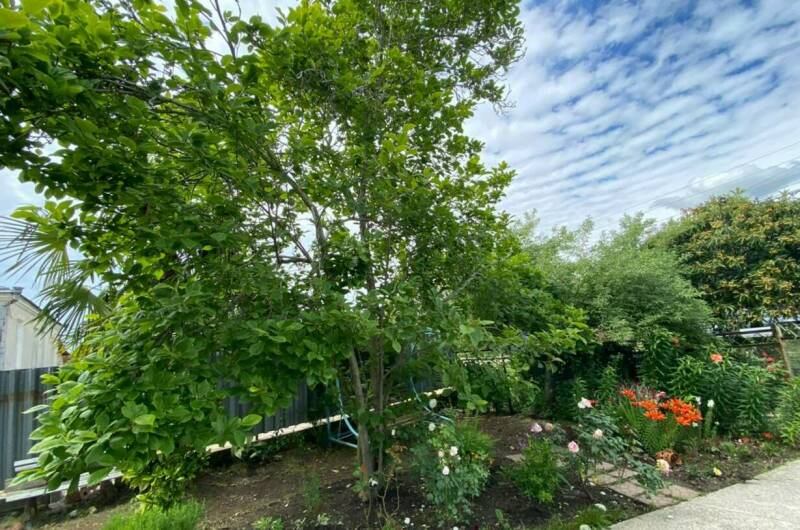 Гостевой дом «У Лизы»