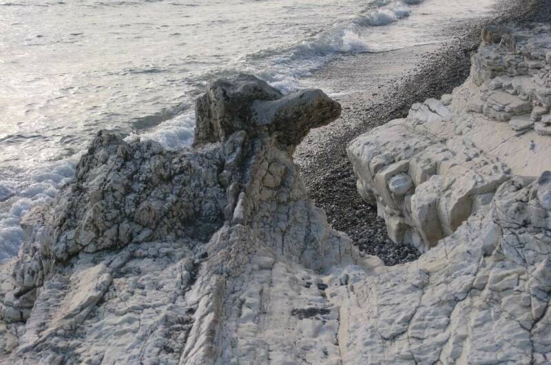 Гостевой дом «Пальмира»