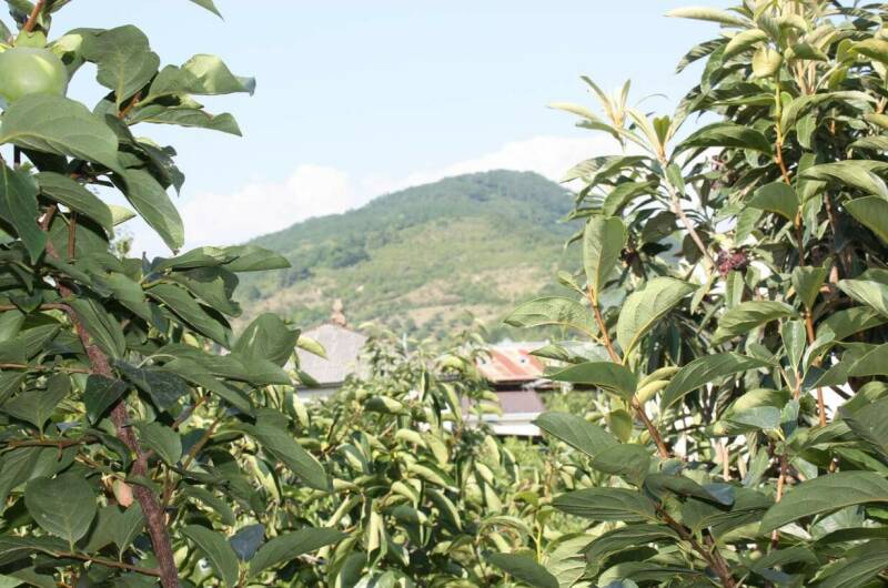 Гостевой дом «Аррива»