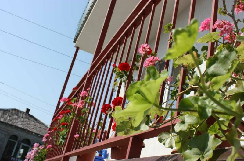 Гостевой дом «Аррива»