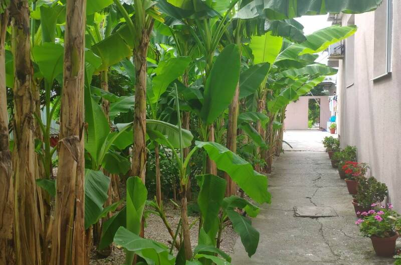 Гостевой дом «Ангелина»