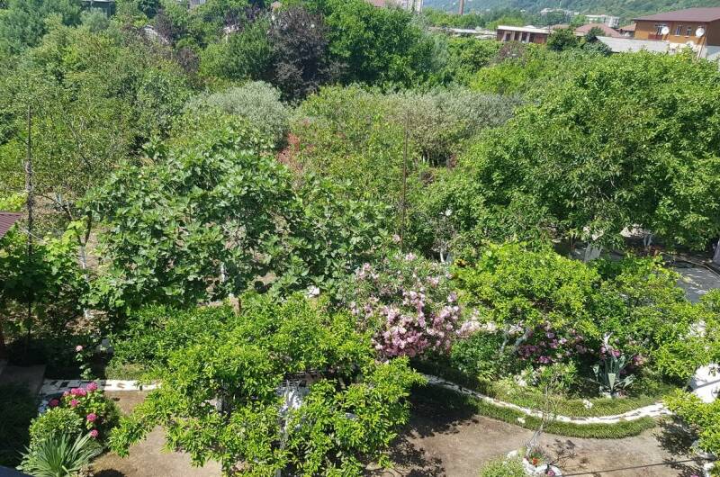 Гостевой дом «Олеандр»