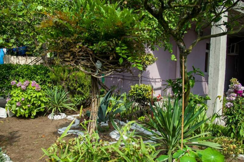 Гостевой дом «Олеандр»