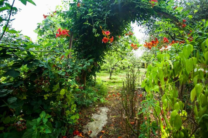 Гостевой дом «Олеандр»