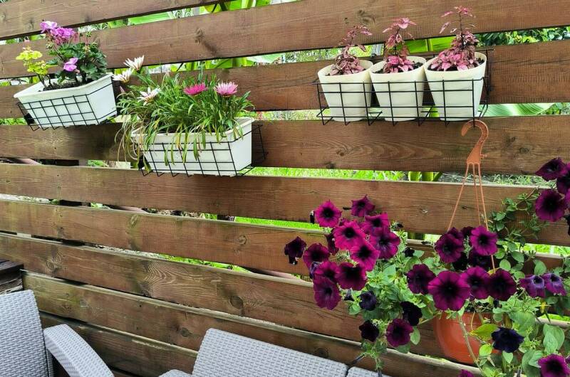 Гостевой дом «Белый виноград»