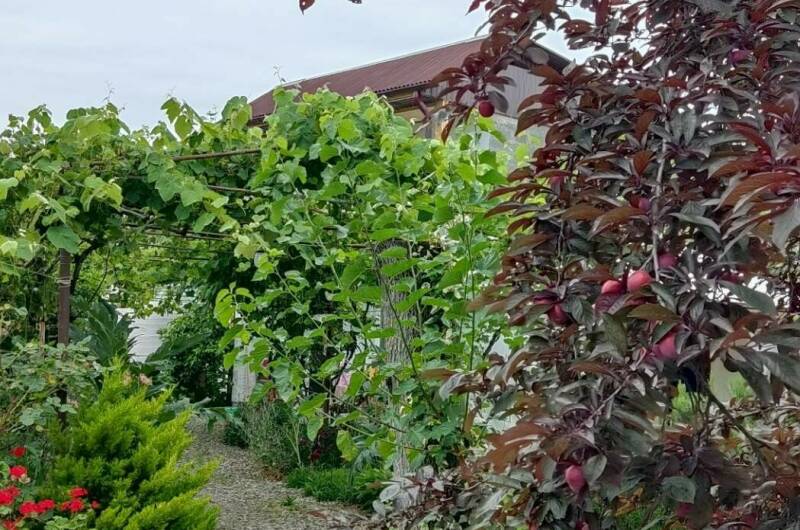 Гостевой дом «Бригантина»