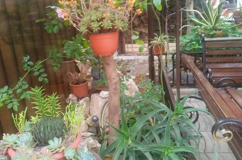 Гостевой дом «У Марины»