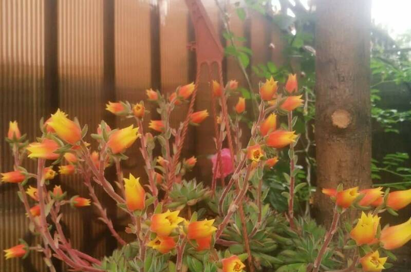 Гостевой дом «У Марины»